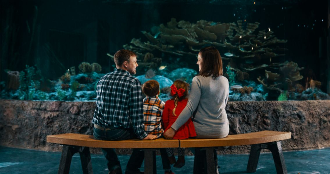 Family enjoying the aquarium